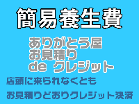 簡易養生費 /
