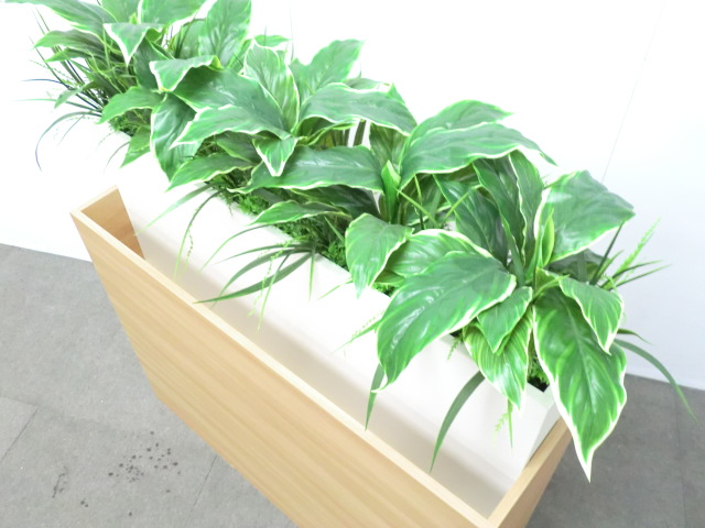 観葉植物 / グリーン / 【中古】 フェイクグリーン